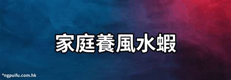 風水蝦|【家庭養風水蝦】